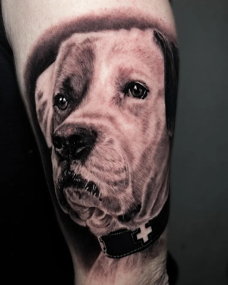 Realistisches Hundeporträt eines Boxers als Tattoo — LAKIMII Berlin
