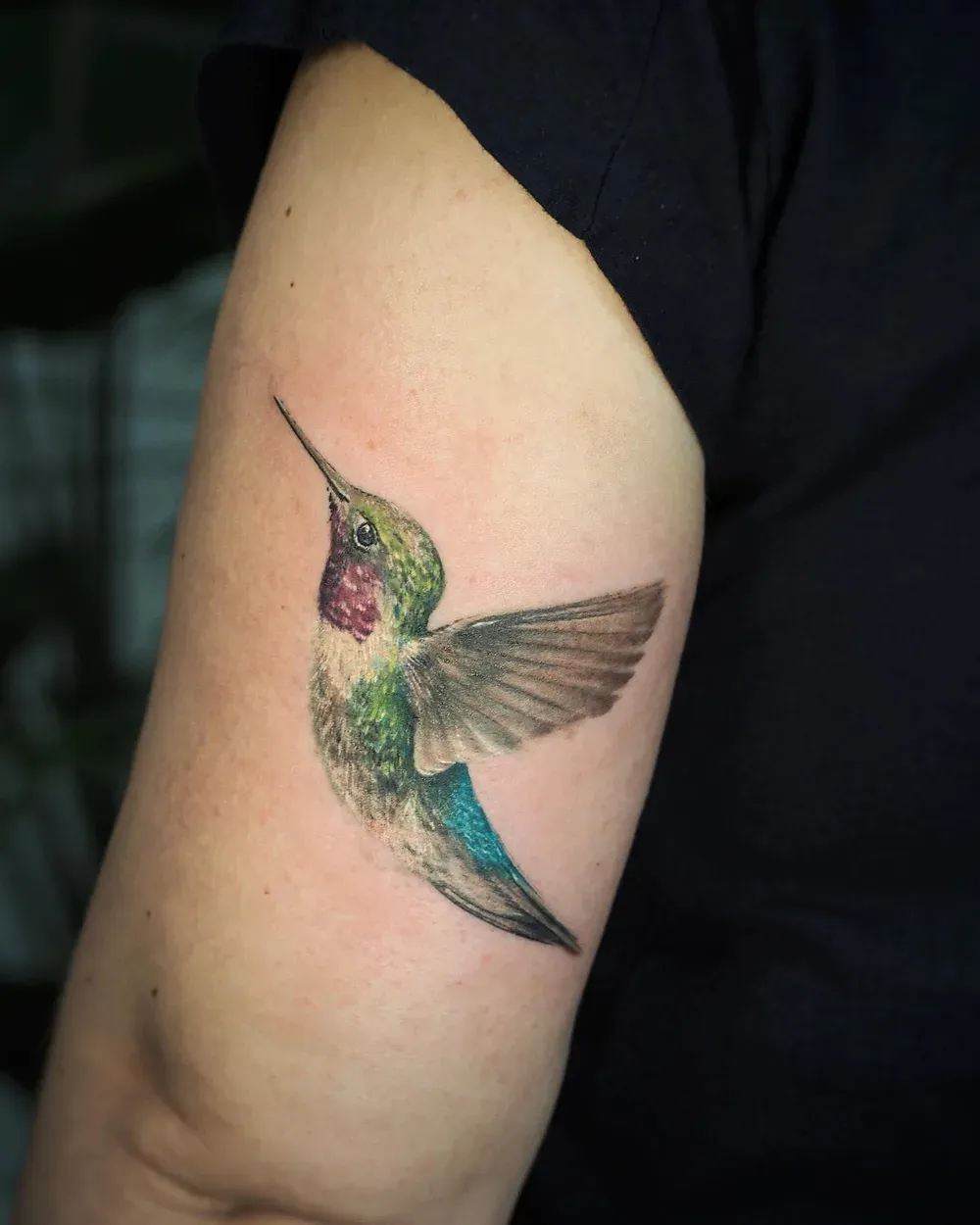 Farbiges Kolibri-Tattoo am Oberarm — gute Nachsorge erhält Farben und Details
